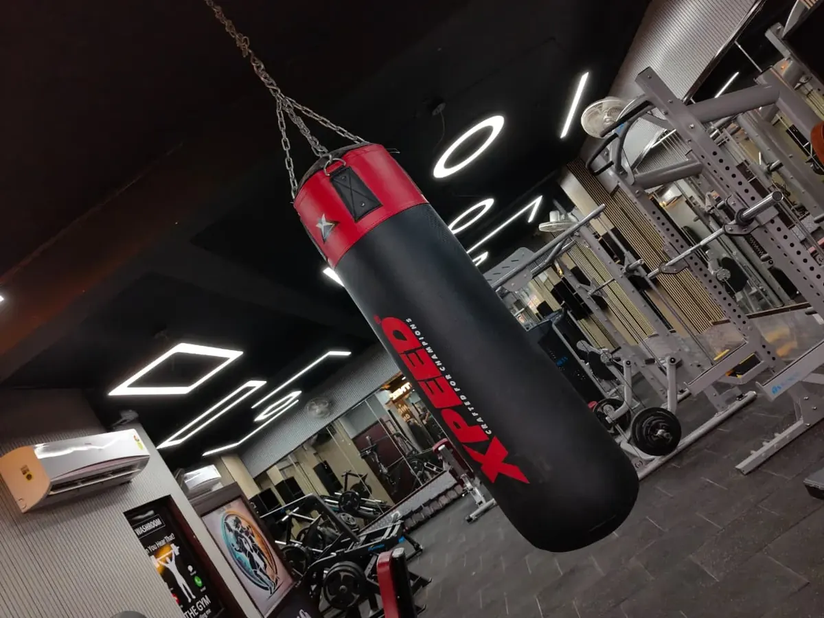 Boxing Bag