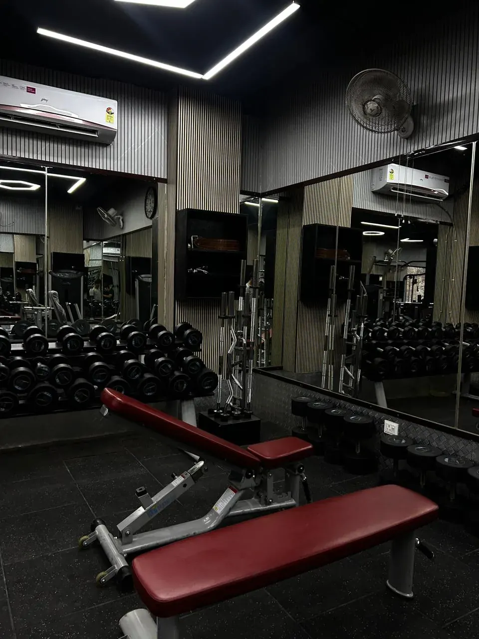 Dumbbell Area